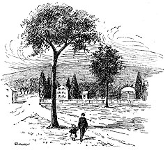 The Old Pittsfield Elm.