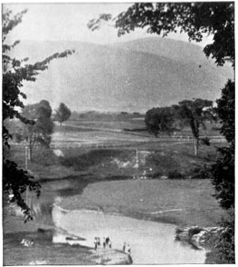 A Glimpse of the country about Williamstown